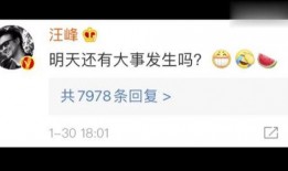 吃瓜娱乐联盟官网首页,官网首页带你领略娱乐圈风云变幻