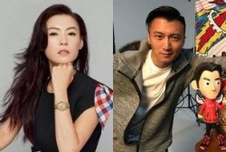 娱乐圈吃瓜张柏芝被气到入院图片,娱乐圈风波再起