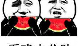 吃瓜表情包暗示着什么意思啊视频,揭秘网络社交中的隐秘心理