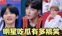 小小凡吃瓜星娱乐,揭秘娱乐圈幕后故事