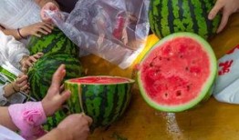 网络吃瓜视频,揭秘娱乐圈幕后故事