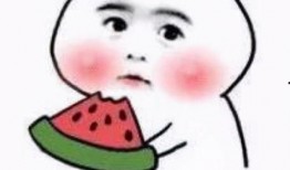 娱乐吃瓜酱受委屈小说,委屈背后的甜蜜瓜田