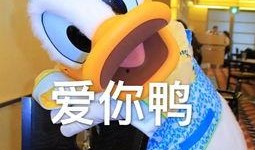 娱乐吃瓜君鸭,揭秘娱乐圈那些不为人知的幕后故事