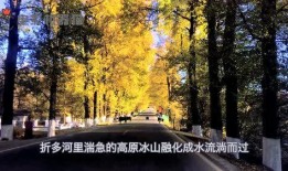 娱乐吃瓜君地址,探寻娱乐圈幕后故事