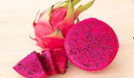 娱乐吃瓜火龙果视频,娱乐吃瓜盛宴，带你领略网络娱乐新潮流