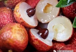 荔枝娱乐吃瓜爆料,娱乐圈最新吃瓜爆料大汇总