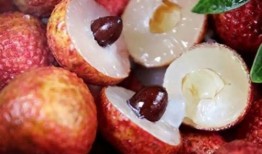 荔枝娱乐吃瓜爆料,娱乐圈最新吃瓜爆料大汇总