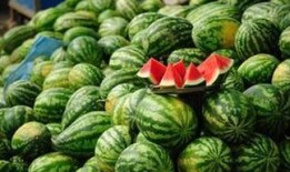 五一吃瓜每日必吃今日分享,每日必吃，今日分享精选