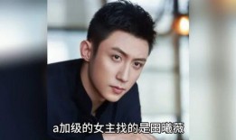 娱乐圈八卦吃瓜解说全集,揭秘明星幕后真相，吃瓜解说全集大揭秘