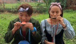 吃瓜比赛视频在线观看,在线观看吃瓜比赛，笑料横生，精彩纷呈