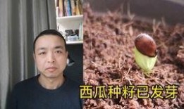 娱乐吃瓜情侣吵架,甜蜜变硝烟，真相背后谁主沉浮？