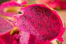 娱乐吃瓜火龙果视频,娱乐吃瓜盛宴，带你领略网络娱乐新潮流